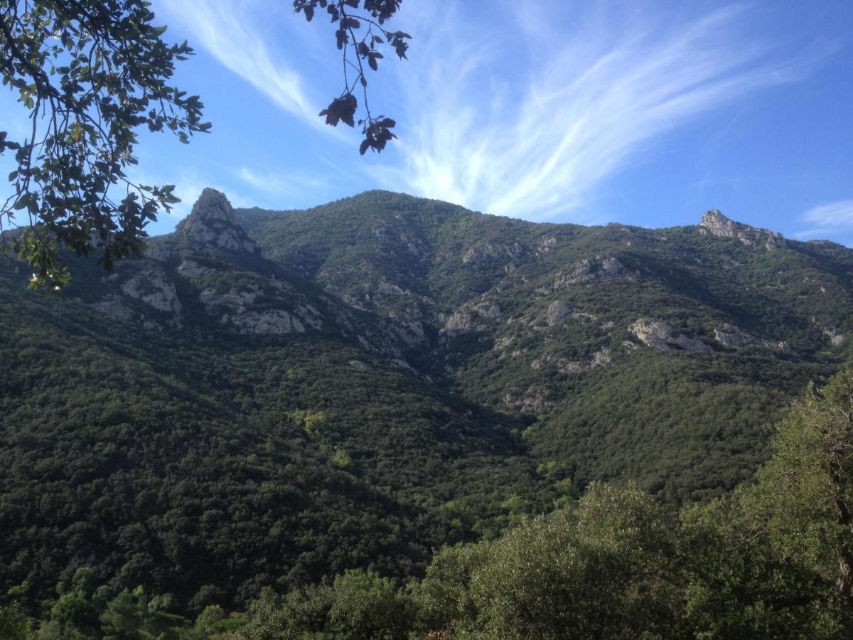 Frühstückspension L'abri La Vall