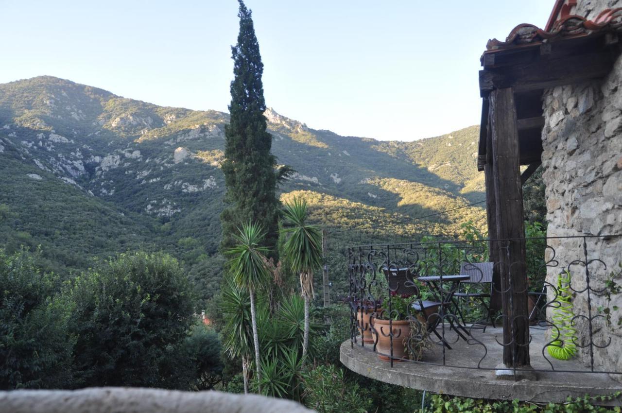 Alojamento de Acomodação e Pequeno-almoço L'abri La Vall Sorède