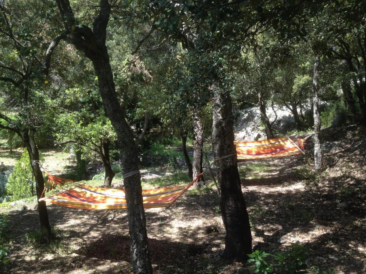 Frühstückspension L'abri La Vall Sorède