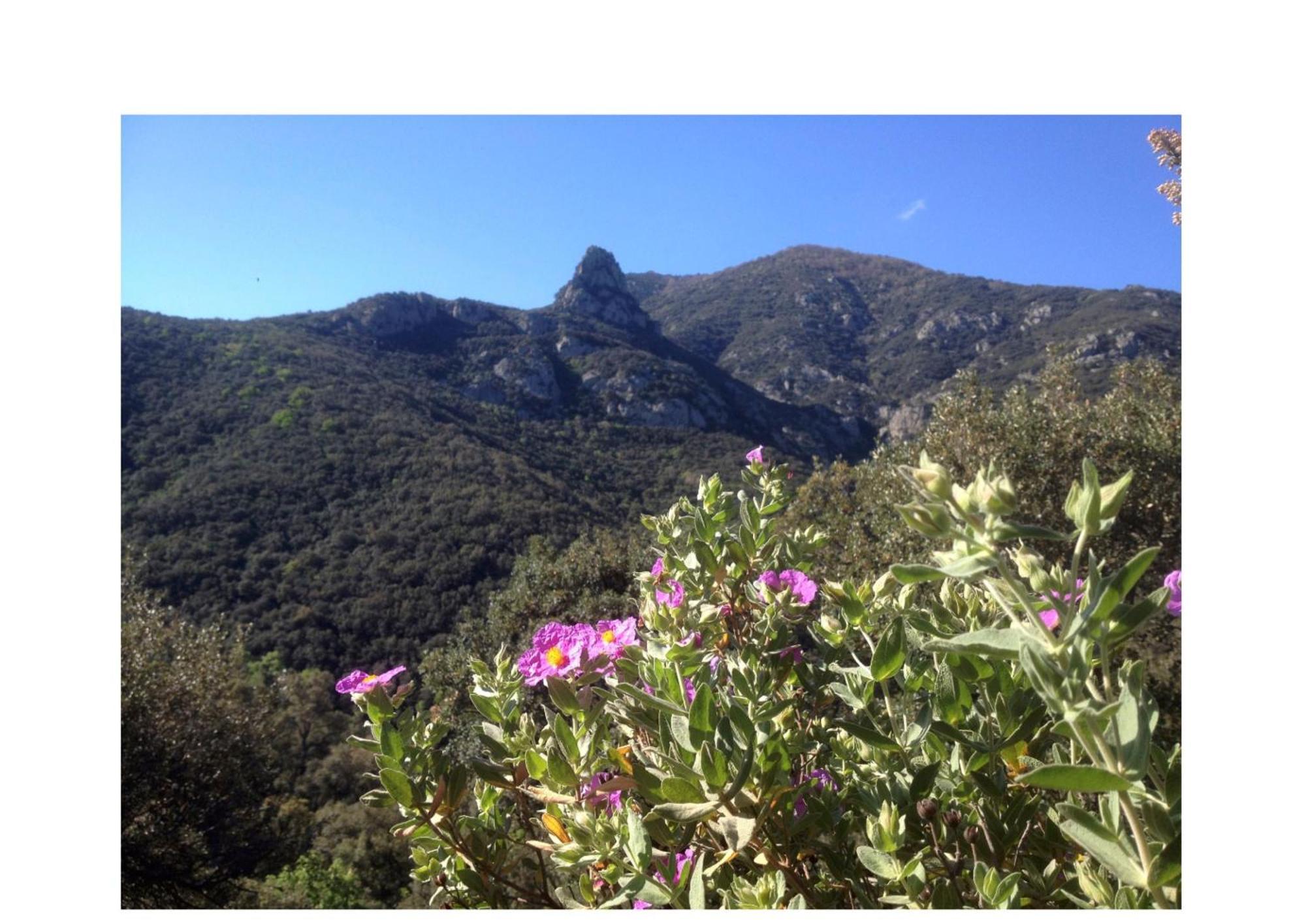 L'abri La Vall *